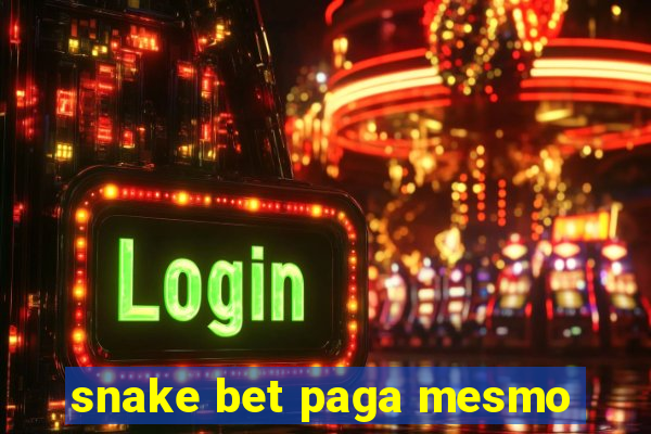 snake bet paga mesmo